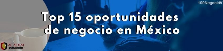 oportunidades de negocios en mexico