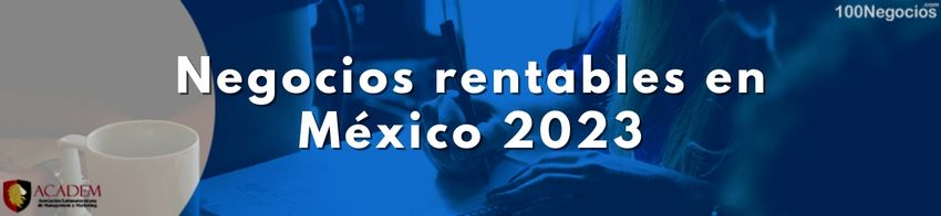 Negocios rentables en México 2023 - 30 Ideas