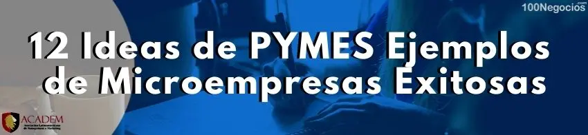 12 Ideas de PYMES Ejemplos de Microempresas Exitosas