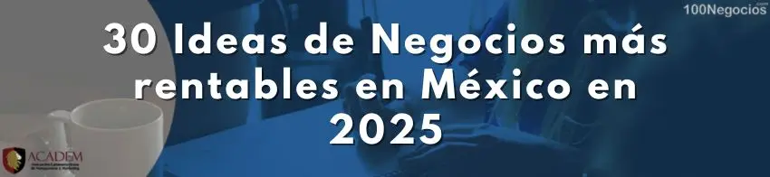 30 Ideas de Negocios más rentables en México en 2025