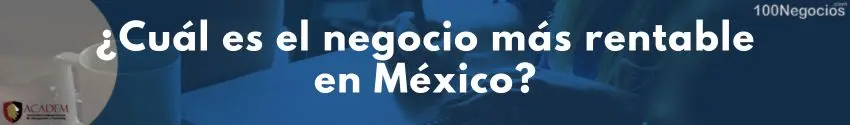 ¿Cuál es el negocio más rentable en México?