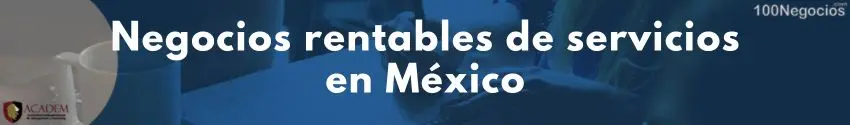 Negocios rentables de servicios en México